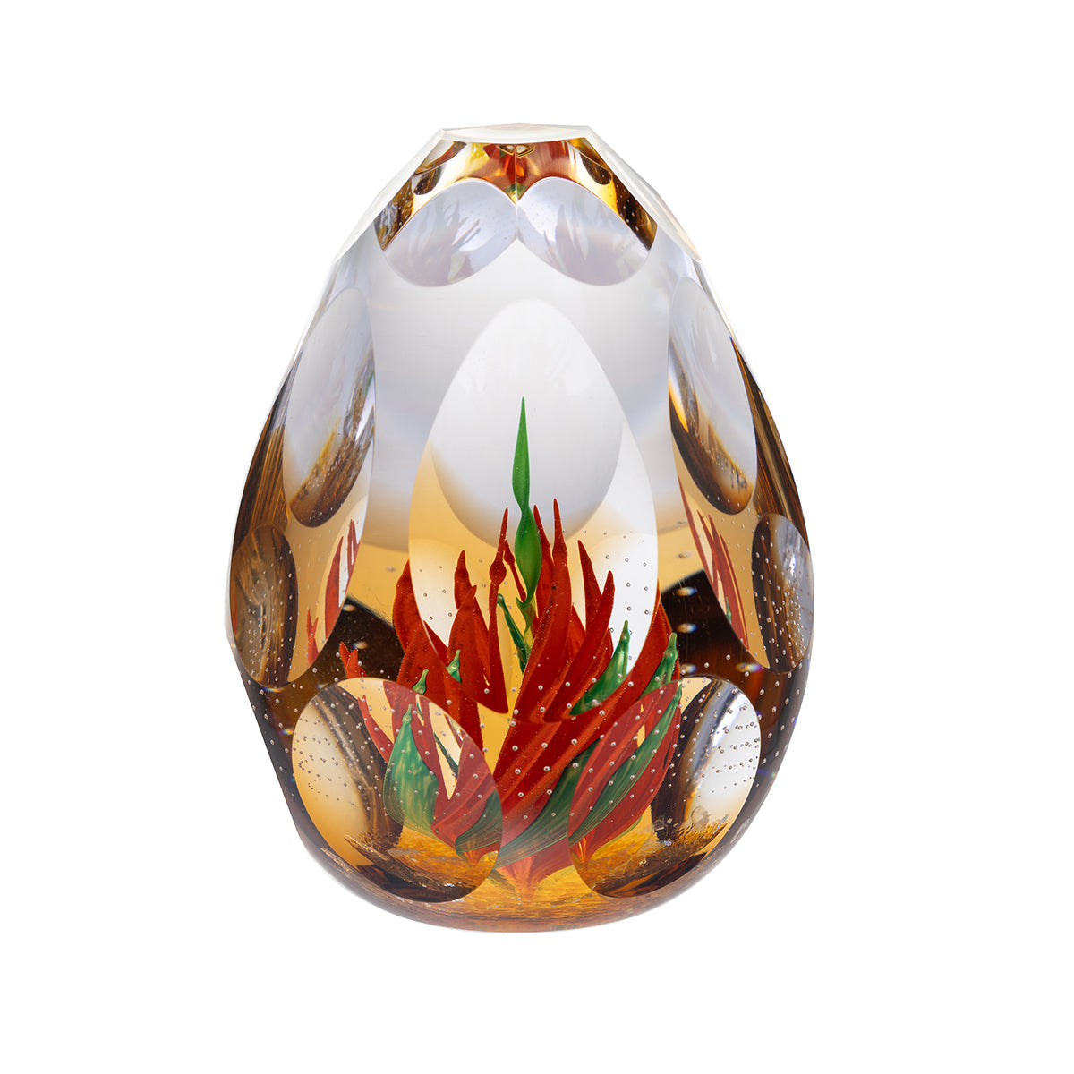 Caithness Elemental Glow- Hot House Collection 2025-Goviers