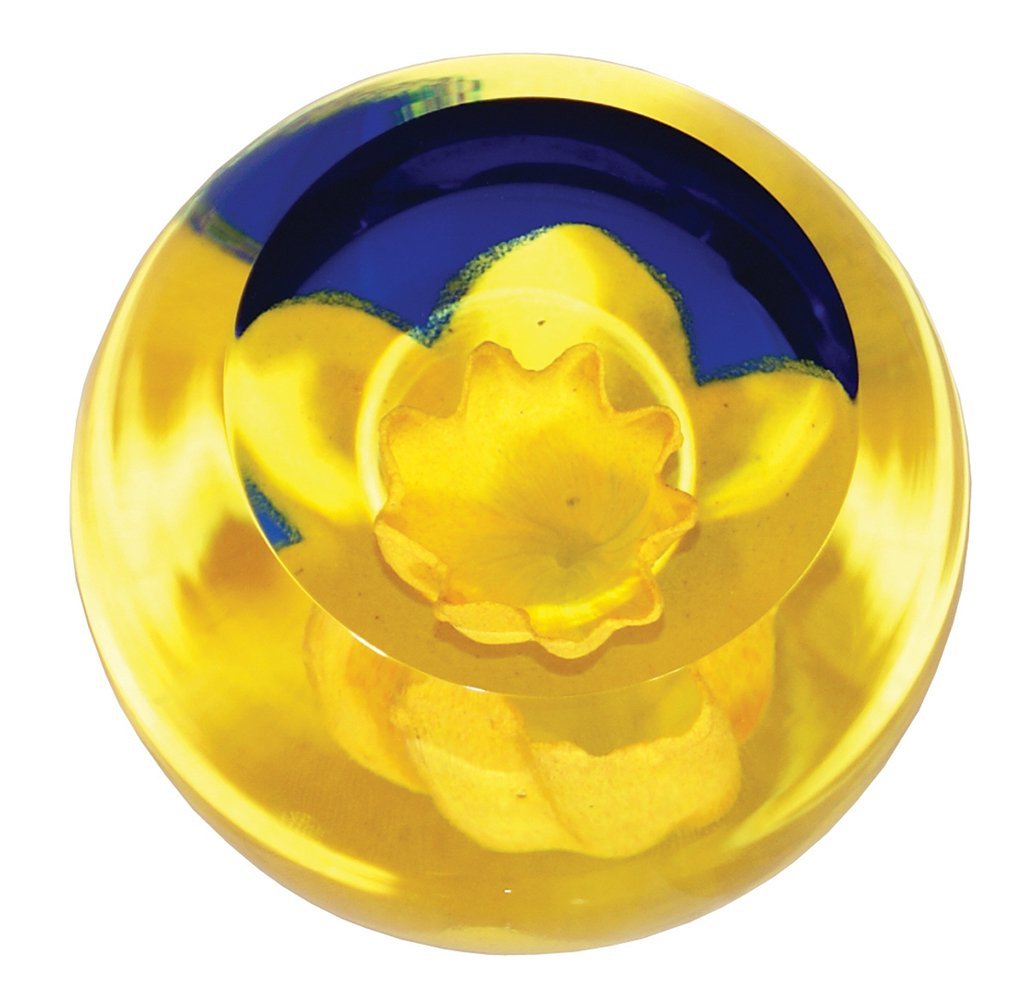 Caithness - Floral Charms - Daffodil-Paperweights-Goviers