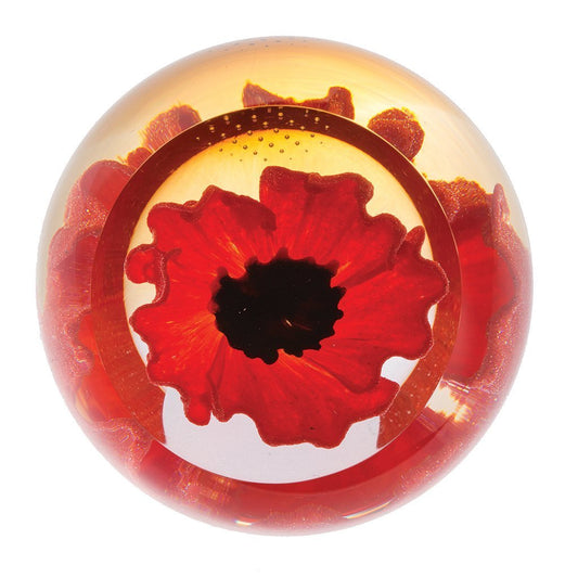 Caithness Floral Charms Red Poppy-Paperweights-Goviers