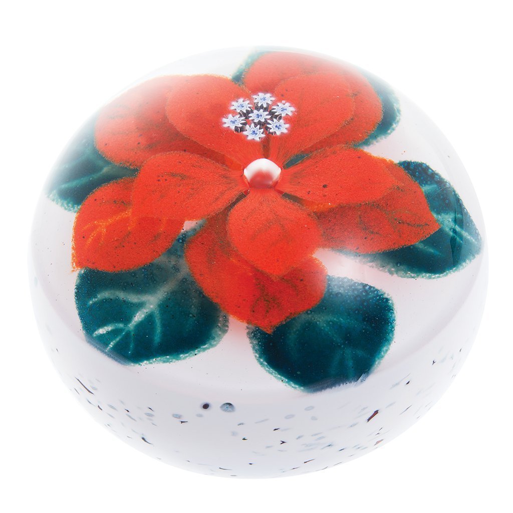 Caithness Glass Winter Poinsettia-Paperweights-Goviers
