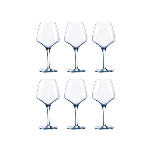 Chef & Sommelier Short Stemmed Universal Wine Glass Set of 6