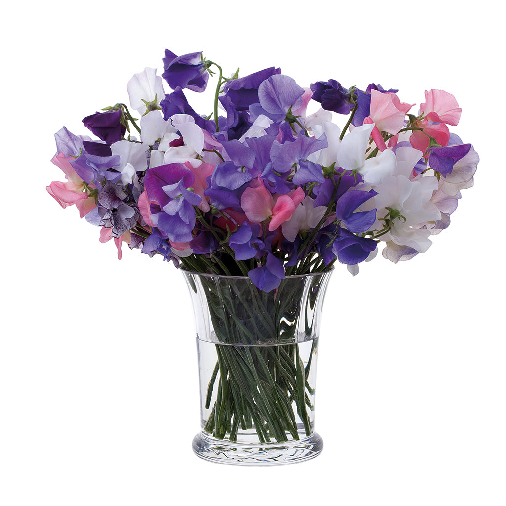 Dartington Crystal Florabundance Sweet Pea Vase