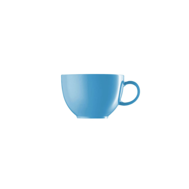 Thomas China Sunny Day Waterblue Low Tea Cup No4