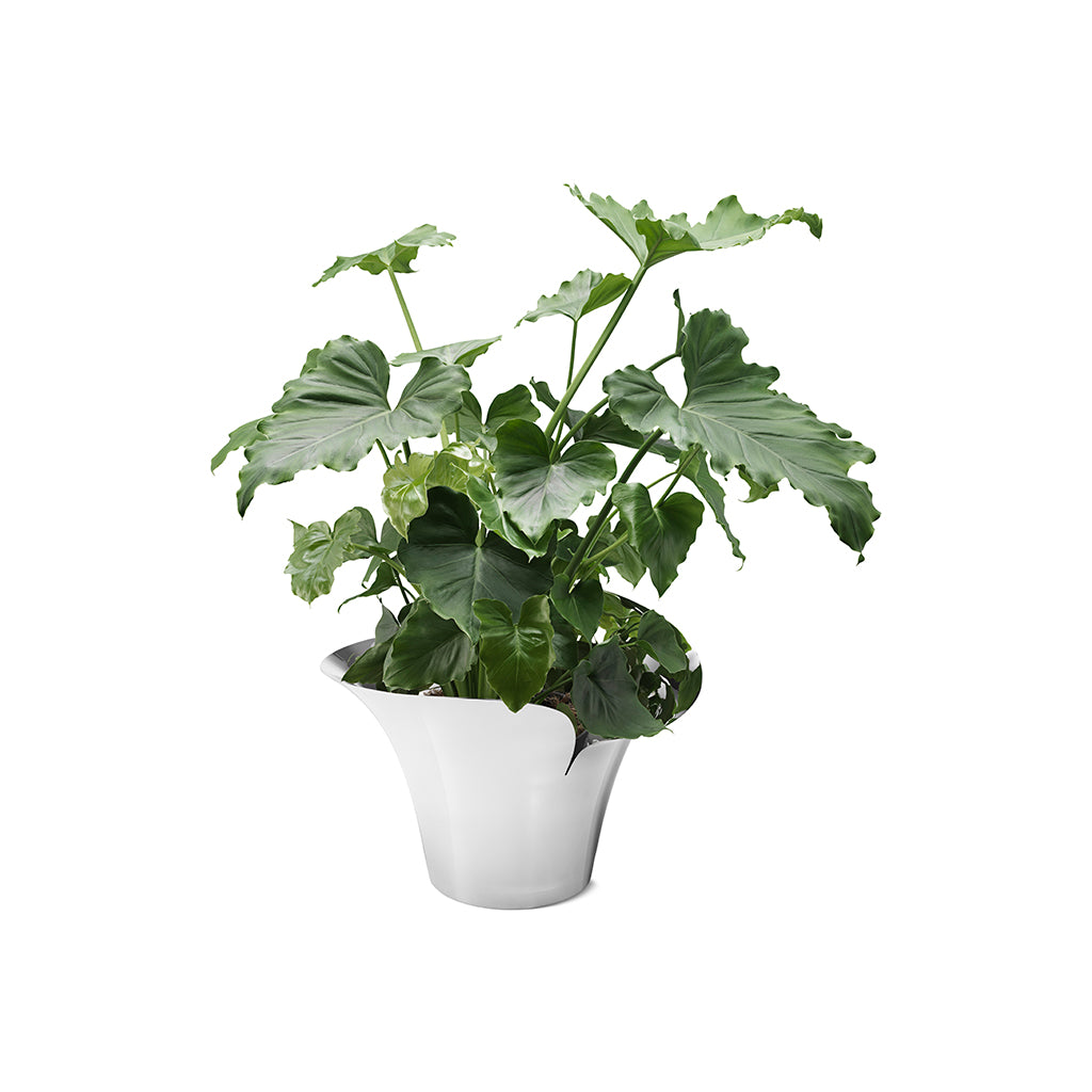 Georg Jensen Bloom Botanica Flower Pot, Large