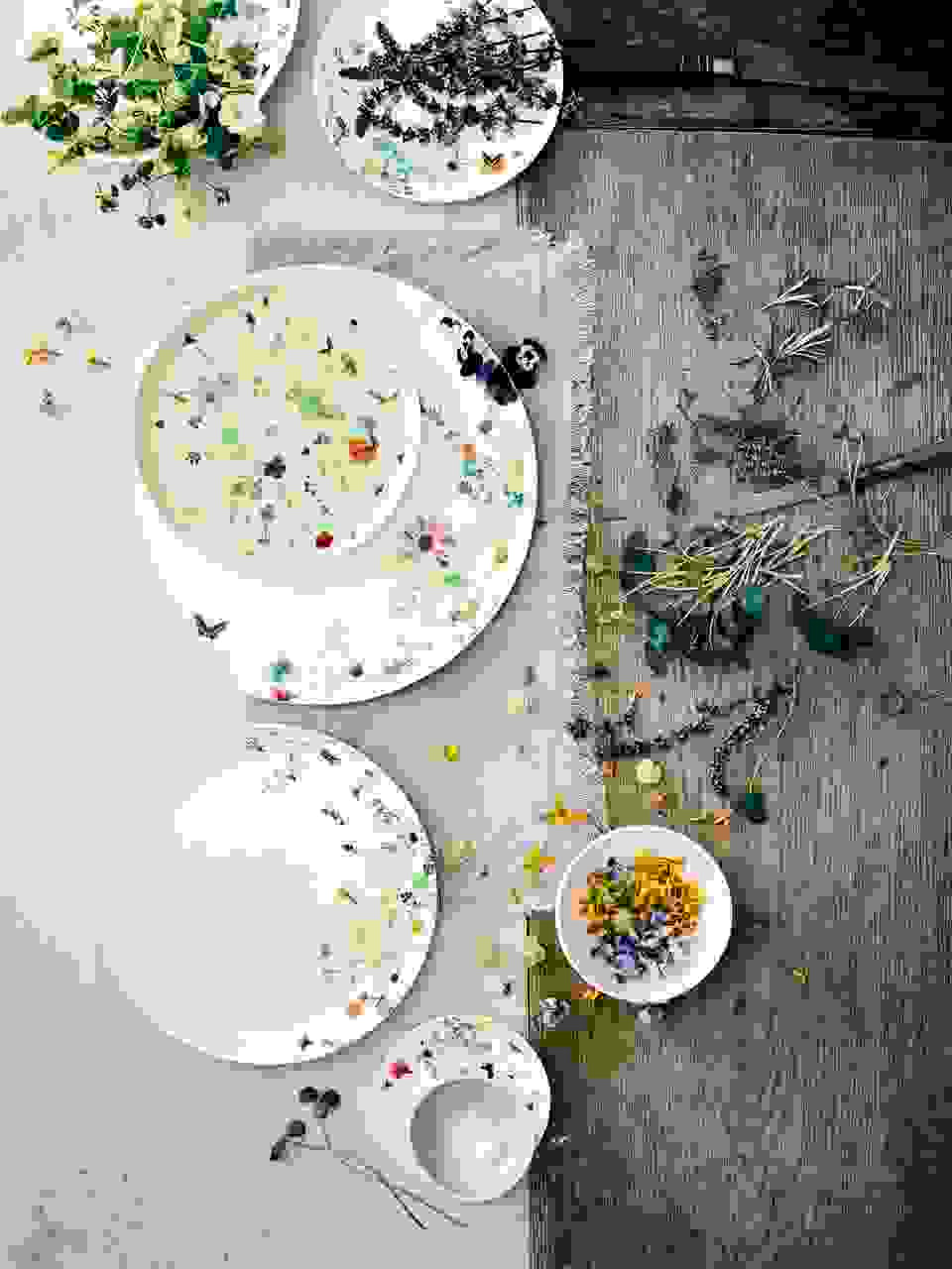 Rosenthal Brillance Grand Air Plate 21cm