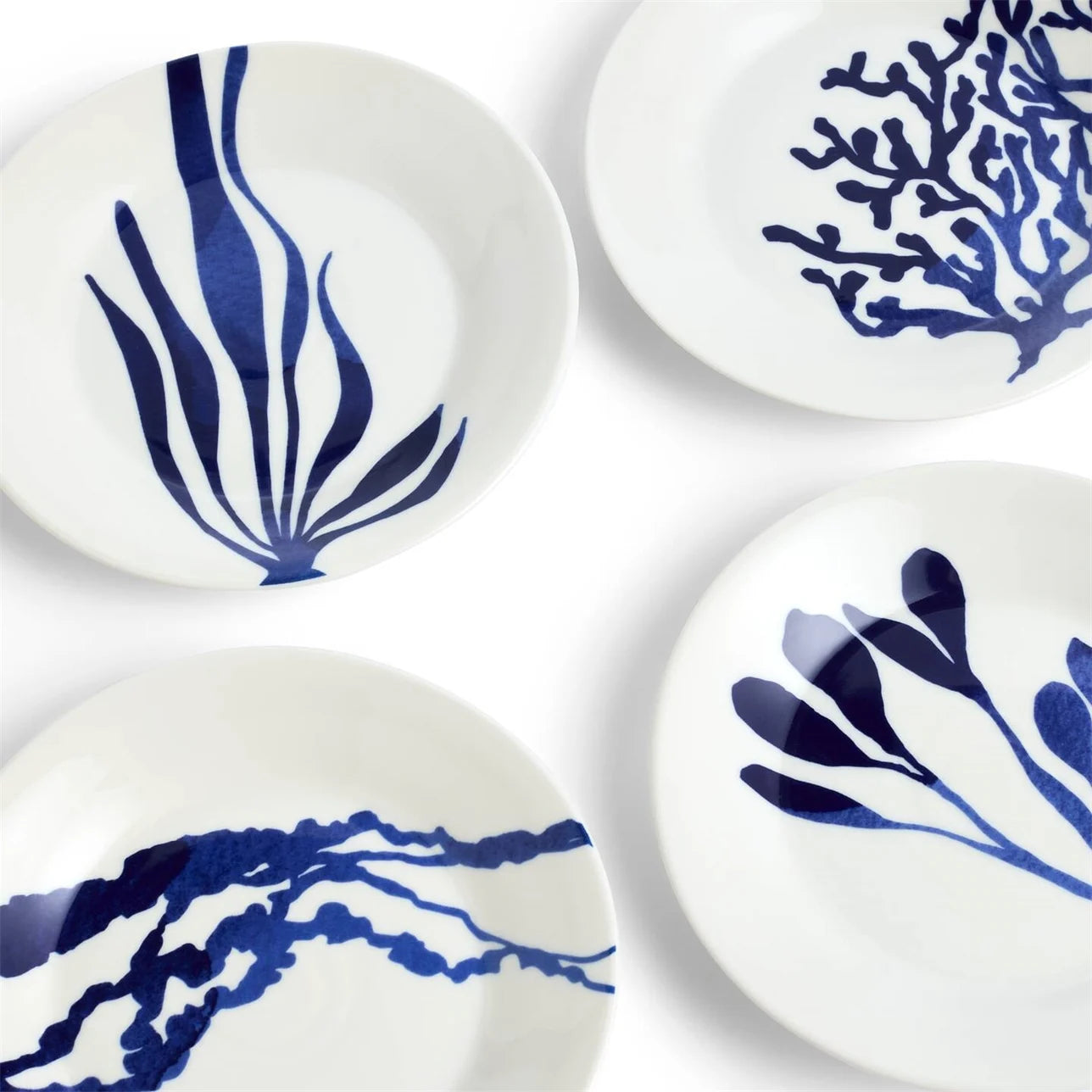 Royal Doulton Pacific Blue Plate 16cm Mixed Patterns Blue Set of 4