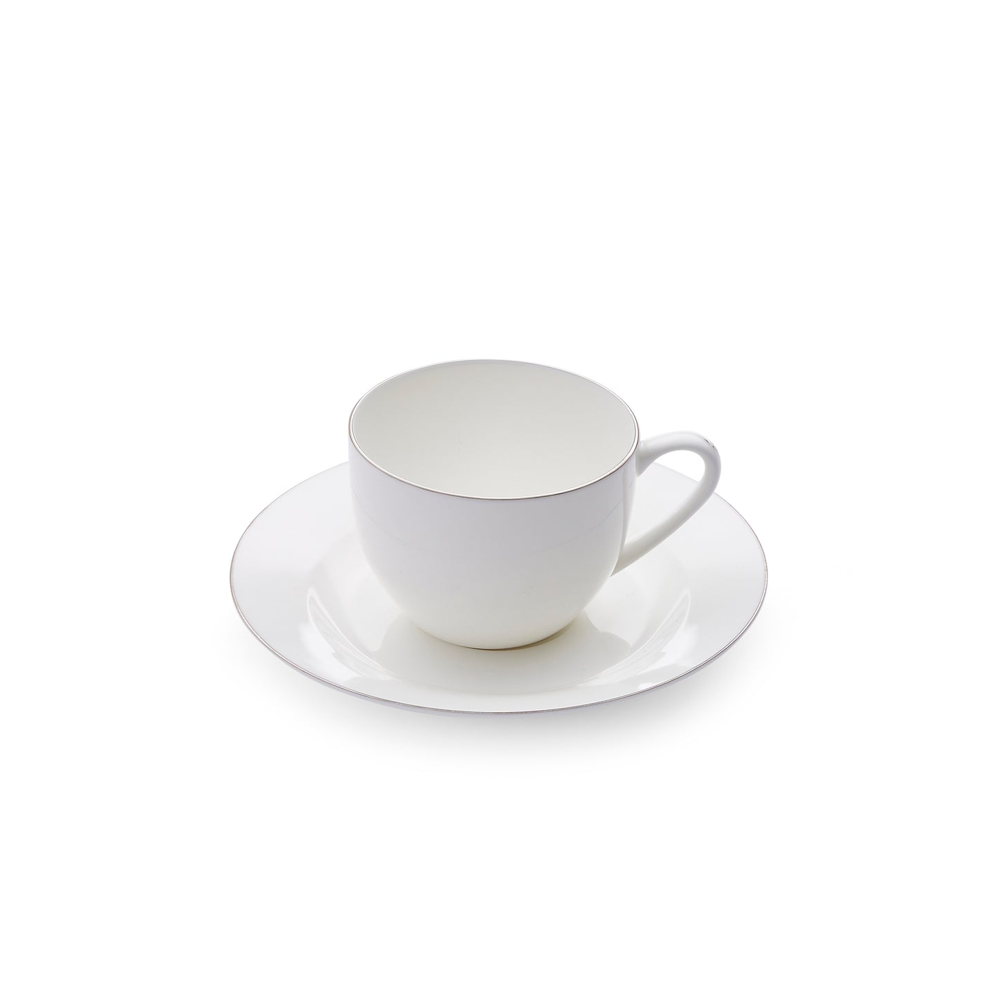 Royal Worcester Serendipity Platinum Teacup & Saucer