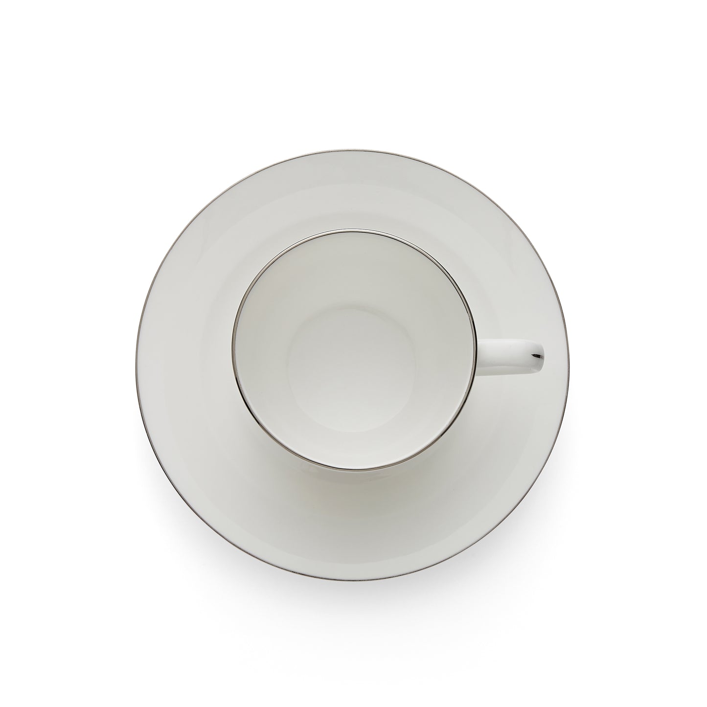 Royal Worcester Serendipity Platinum Teacup & Saucer