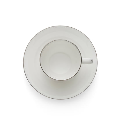 Royal Worcester Serendipity Platinum Teacup & Saucer