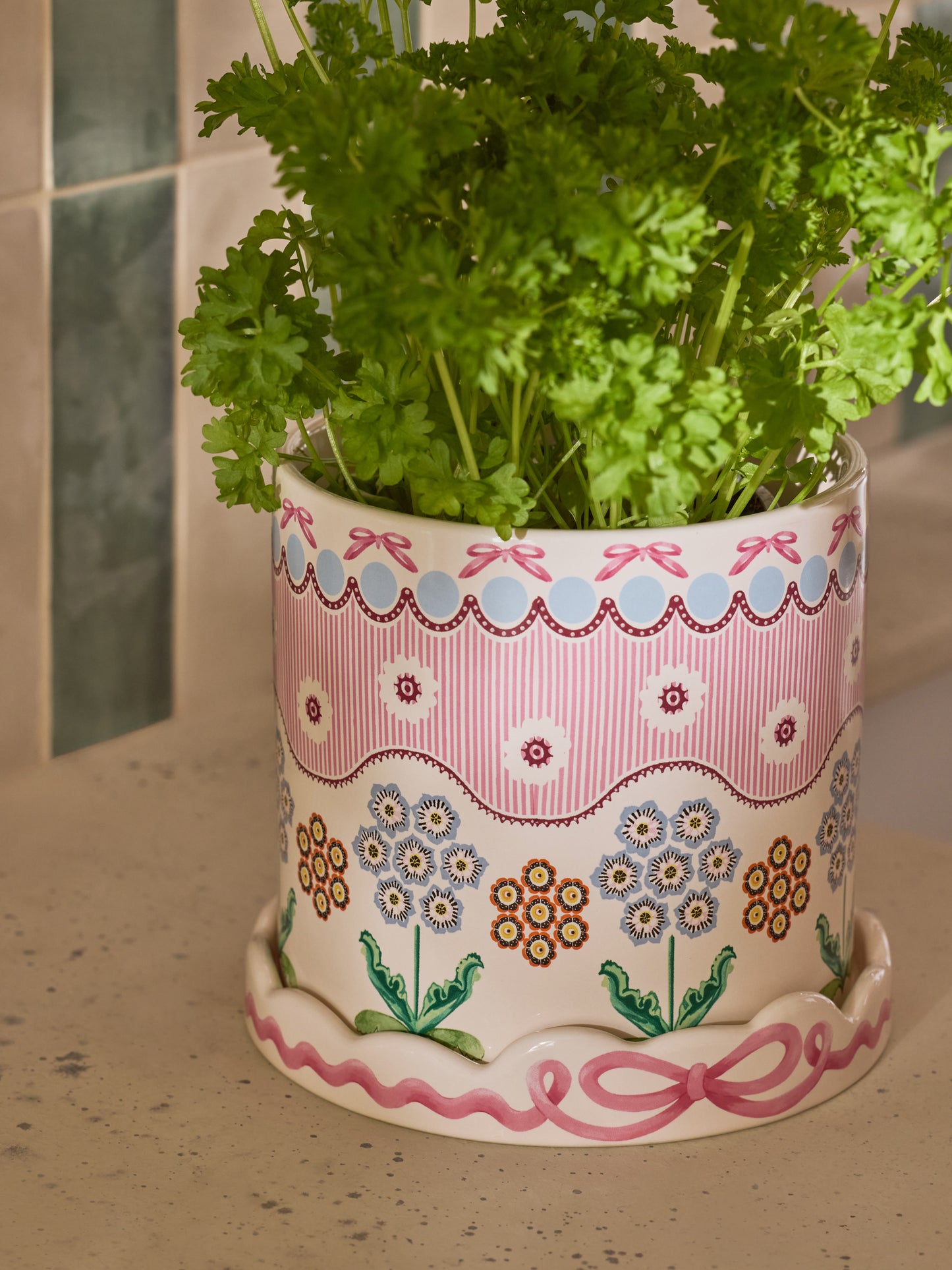 Cath Kidston Spitalfields Silk Plantpot With Tray