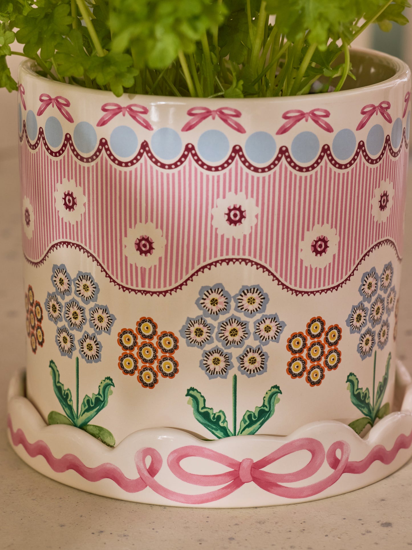 Cath Kidston Spitalfields Silk Plantpot With Tray