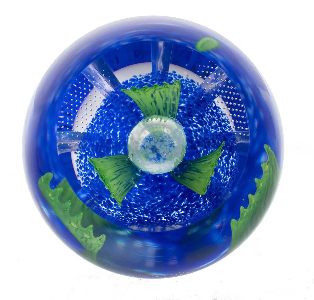 Caithness Azure Blossom- Hot House Collection 2025-Goviers