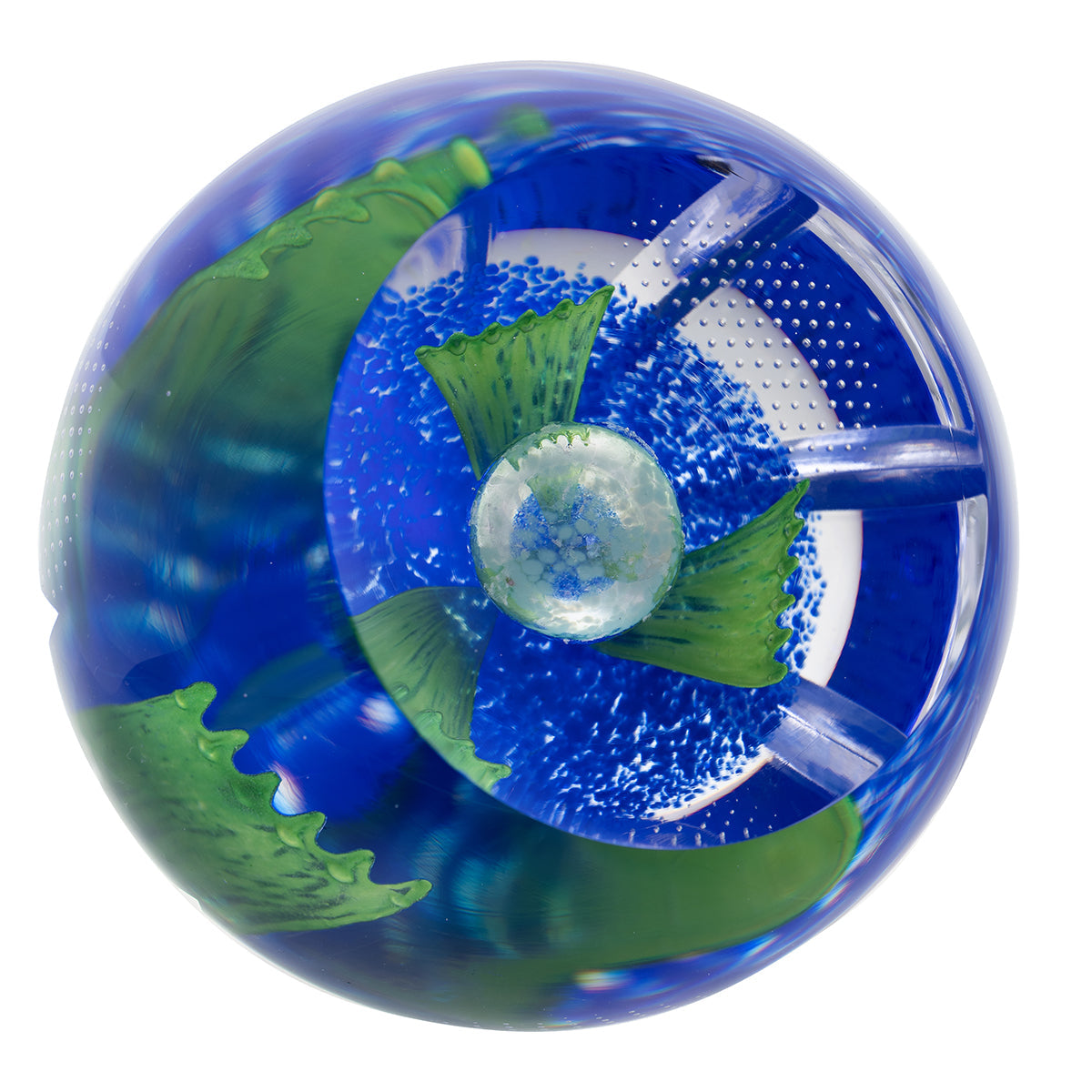 Caithness Azure Blossom- Hot House Collection 2025-Goviers