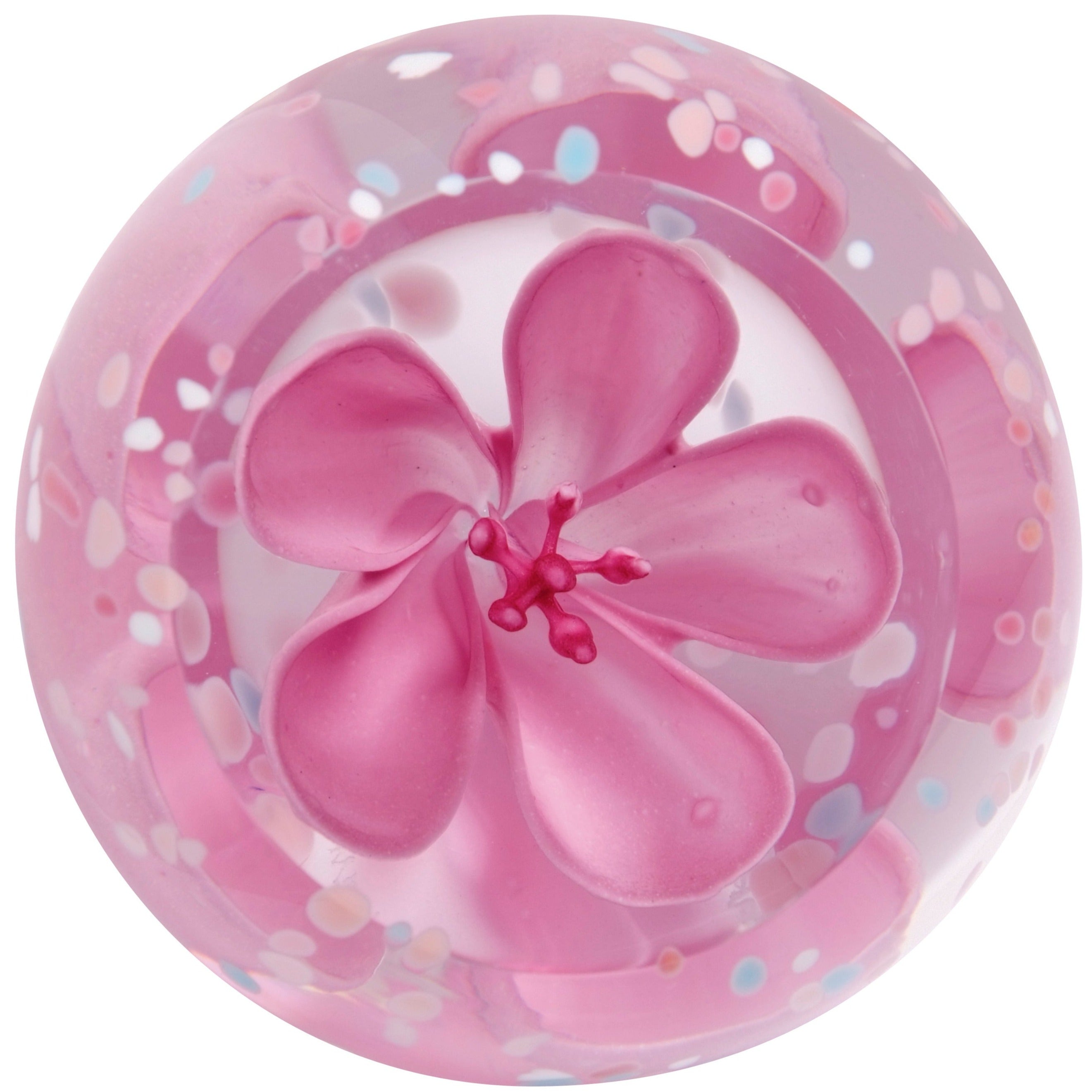 Caithness Blossom Rose