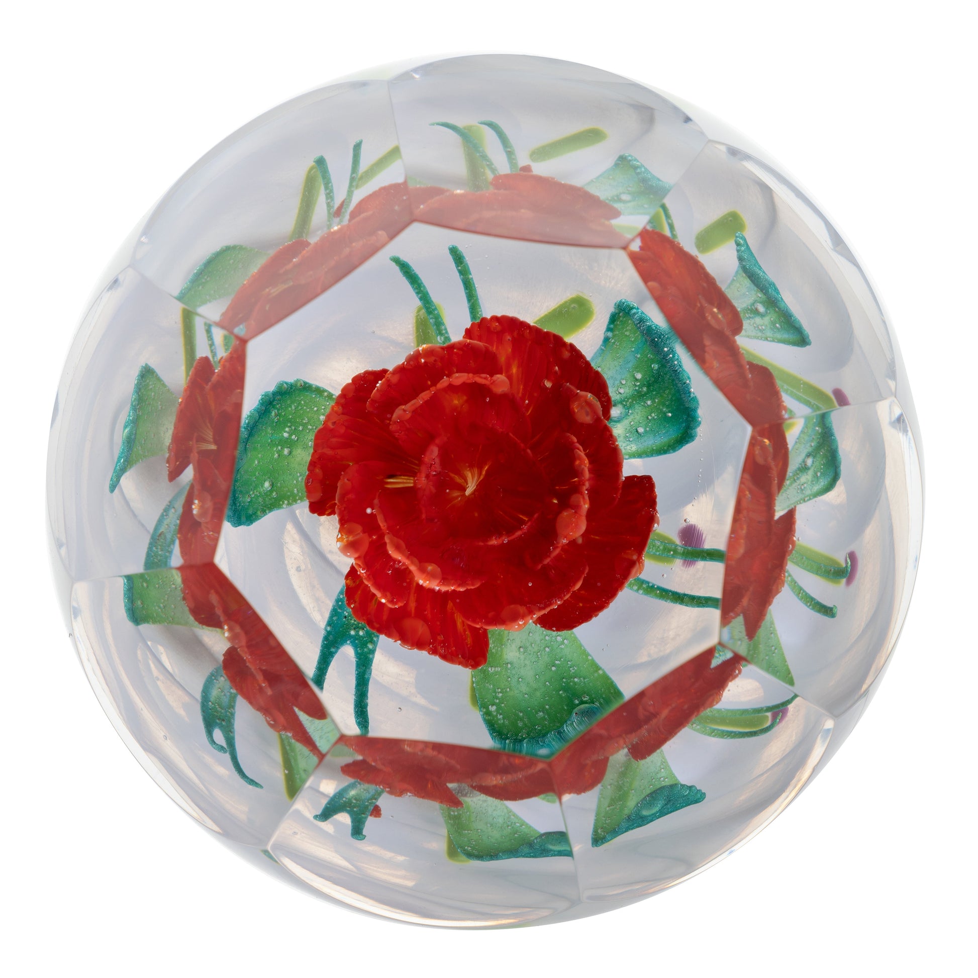 Caithness Christmas Winter Rose-Goviers