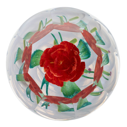 Caithness Christmas Winter Rose-Goviers