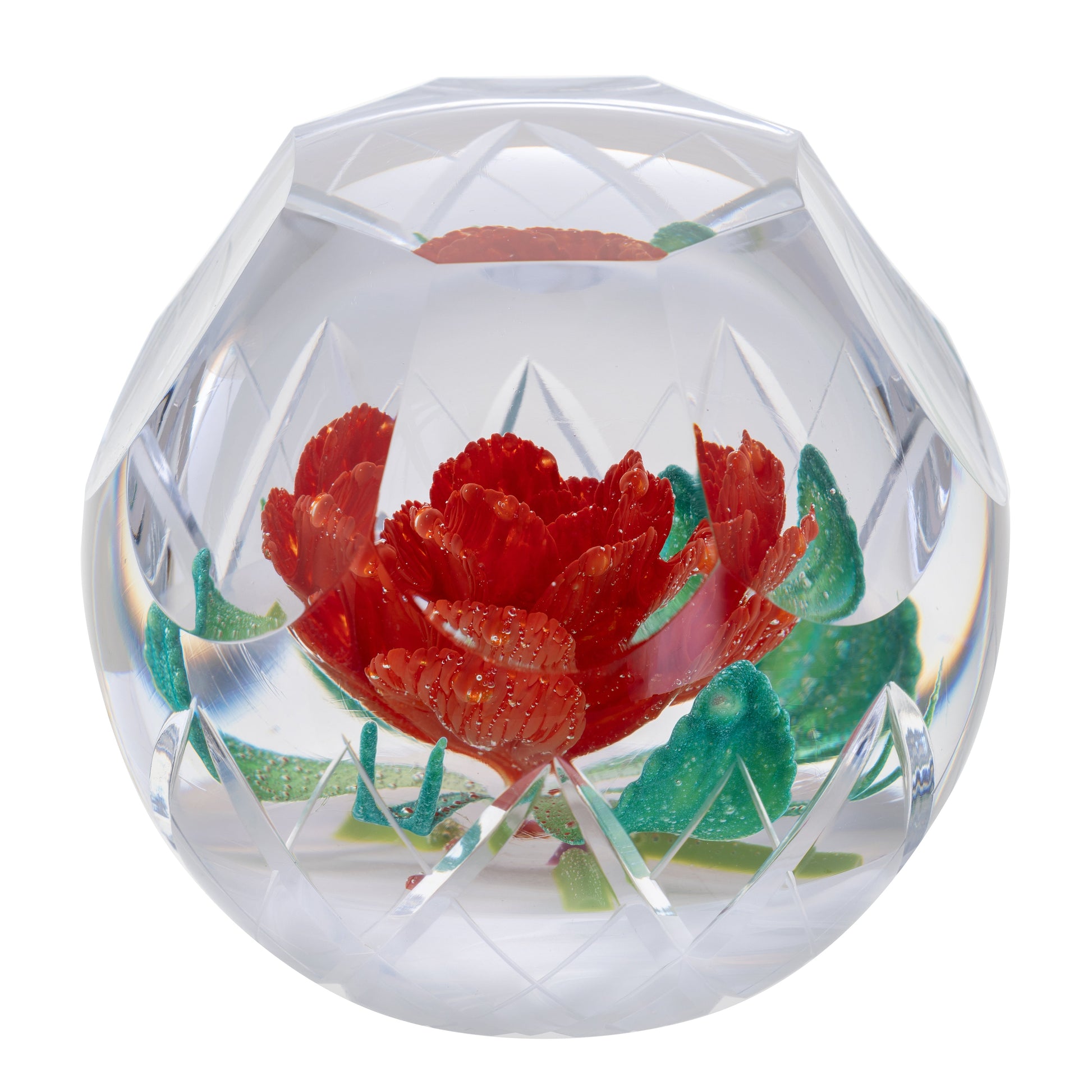 Caithness Christmas Winter Rose-Goviers