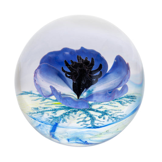 Caithness Galilee Blue-Goviers