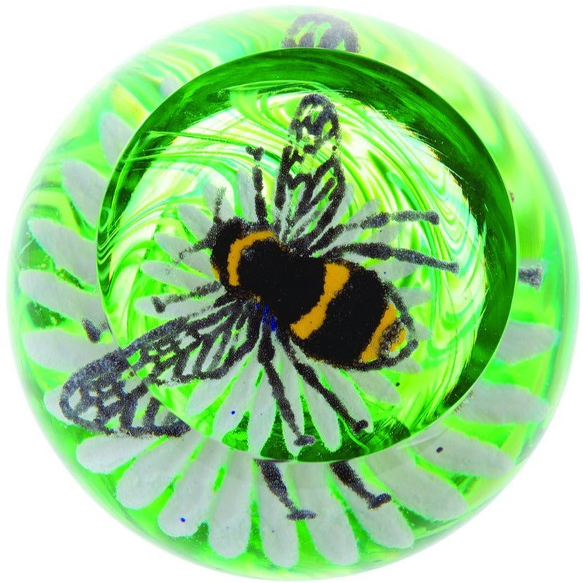 Caithness Glass Bee on a Flower Paperweight