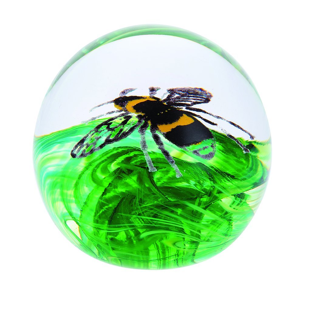 Caithness Glass Buzzing Bee Paperweight-delivery 2021