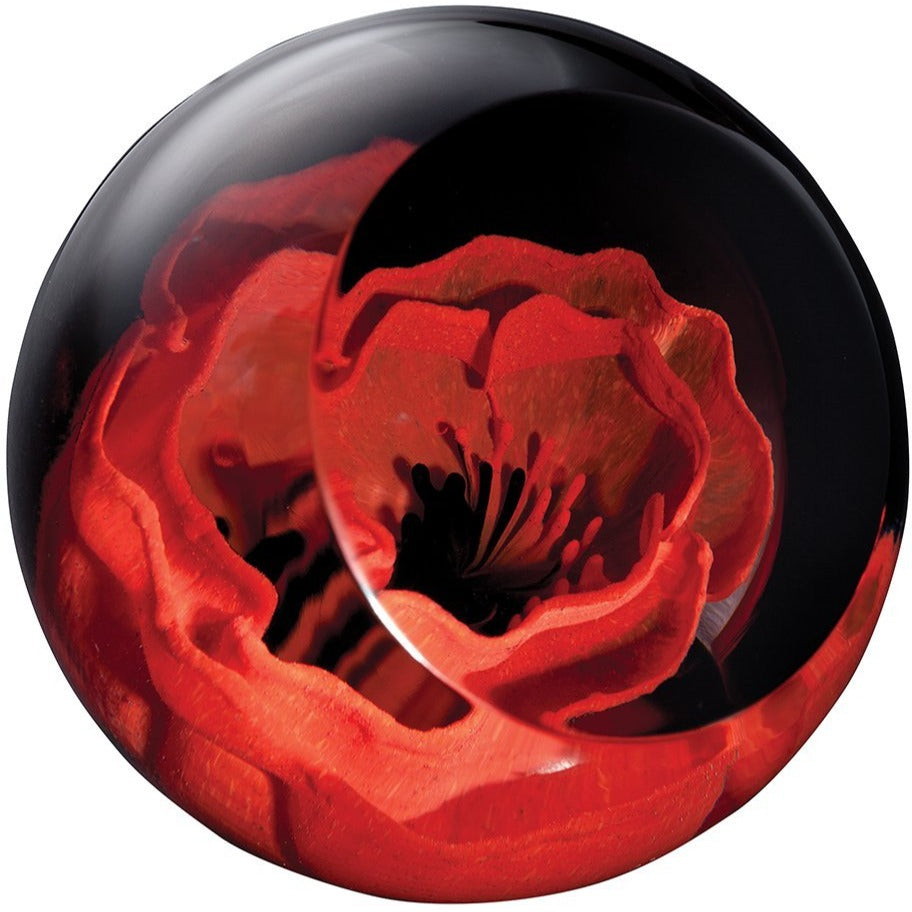Caithness Glass Poppy Paperweight