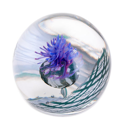 Caithness Highland Reel-Goviers