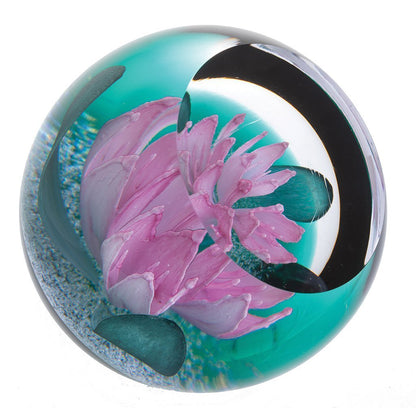 Caithness Rhododendron Ferrugineum-Paperweights-Goviers