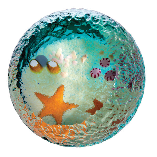 Caithness Seabed Starfish