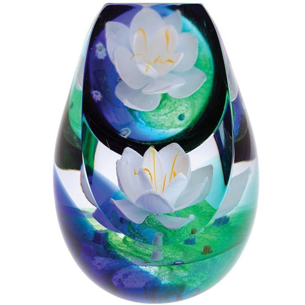 Caithness Water Lily -Nymphaea | Limited Edition