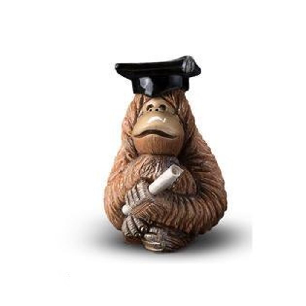 De Rosa Graduate Orangutan-Goviers