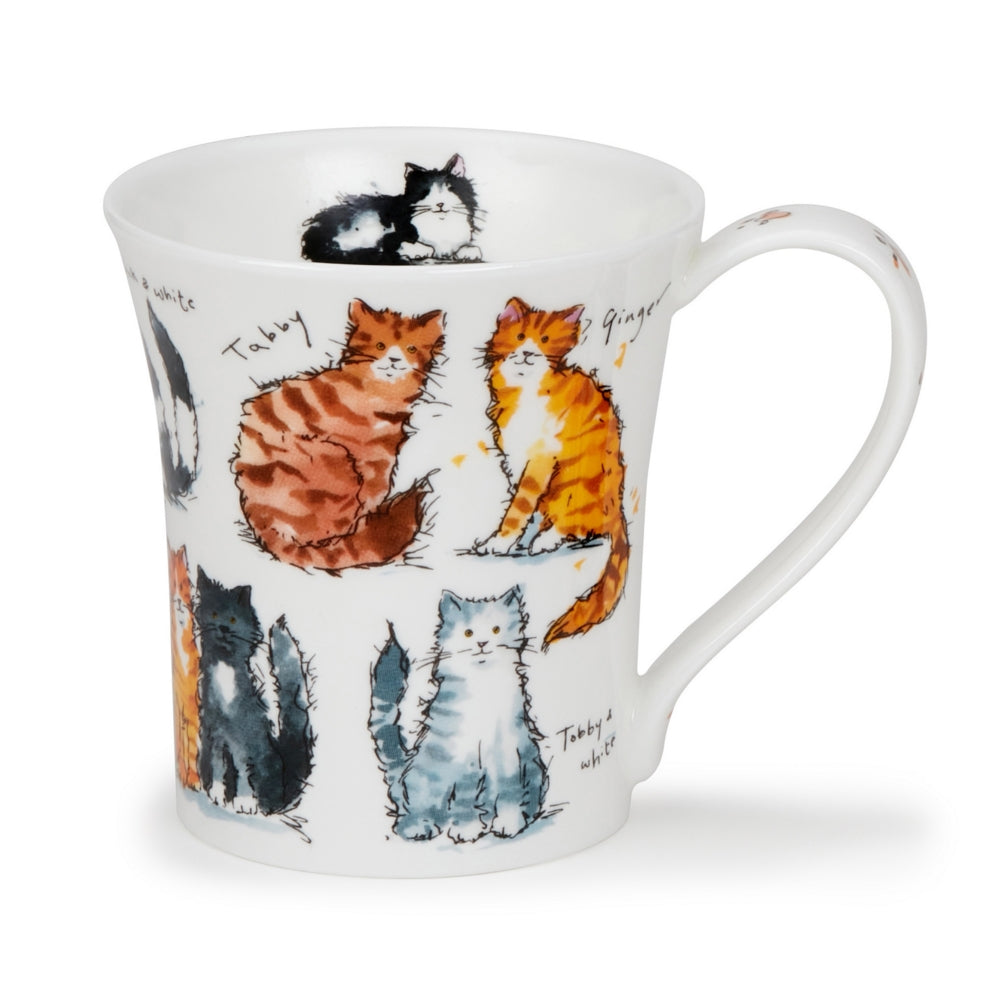 Dunoon Jura Messy Cats