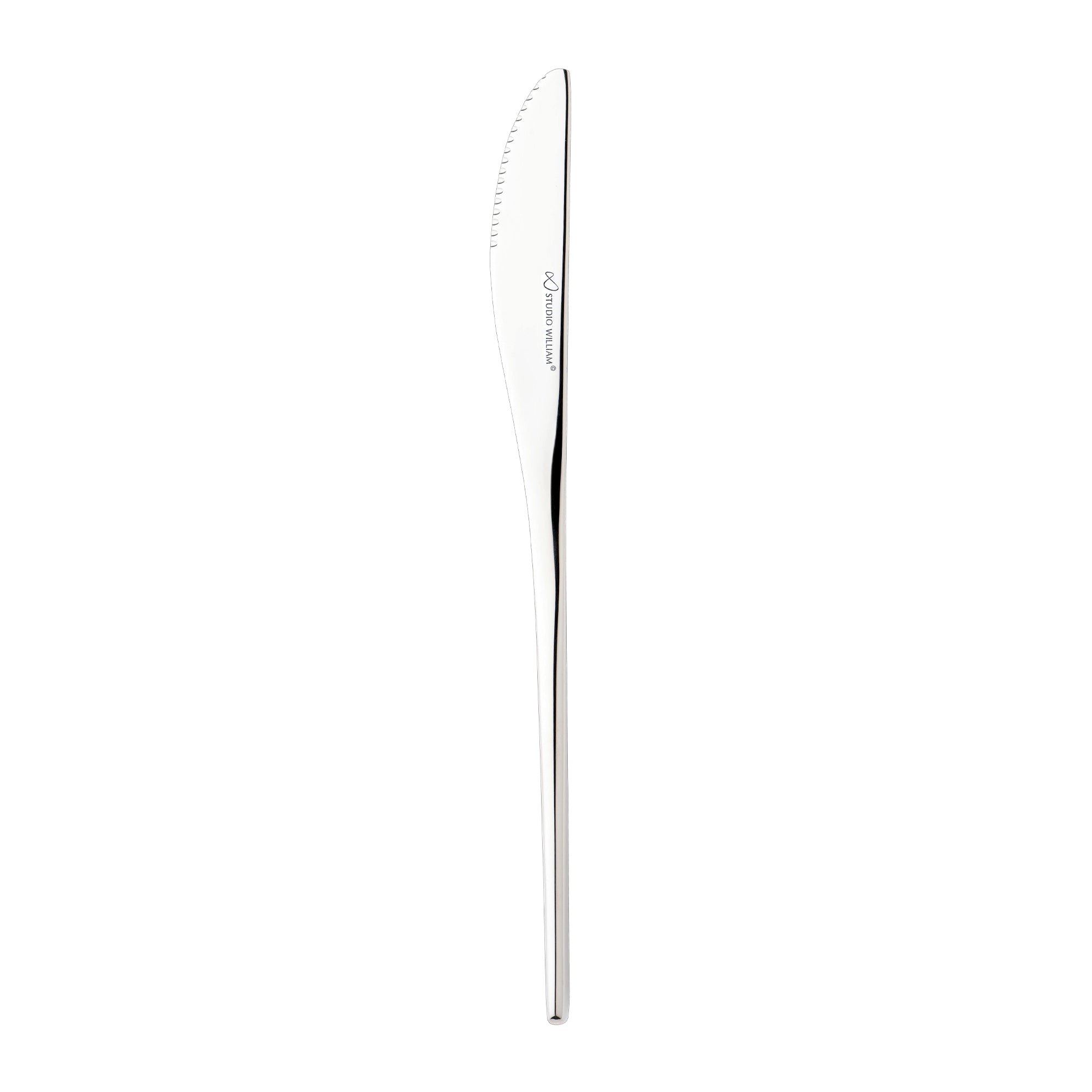 Studio William Karri Mirror 4 Piece Steak Knife Set