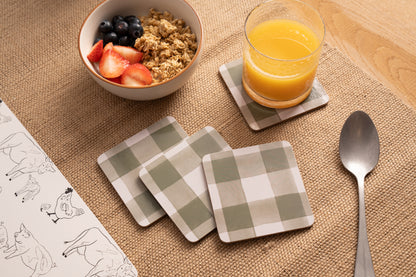 Woodbury Lane Placemats Gingham Set of 4