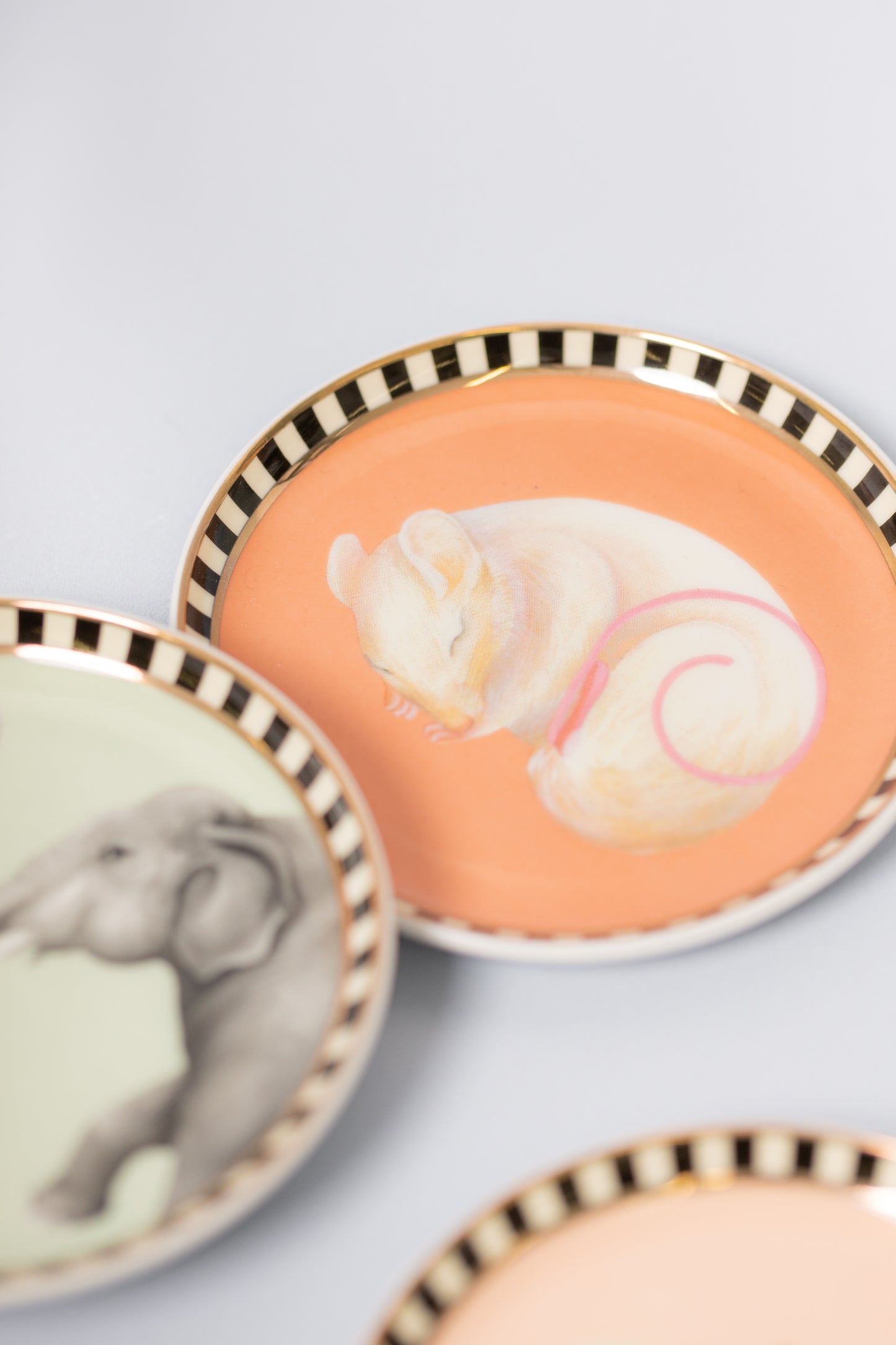 Yvonne Ellen Animal Coaster Set of 4