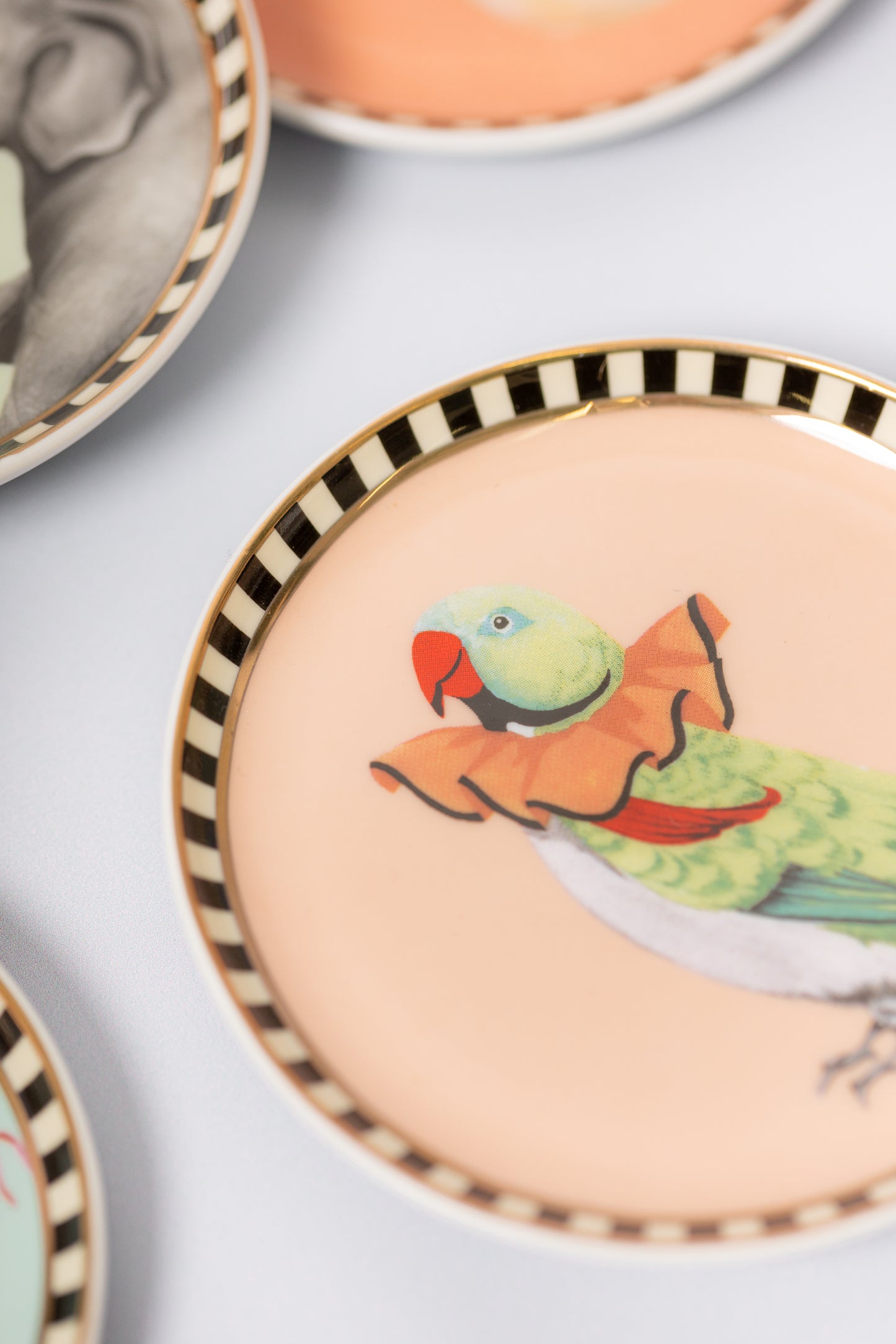 Yvonne Ellen Animal Coaster Set of 4