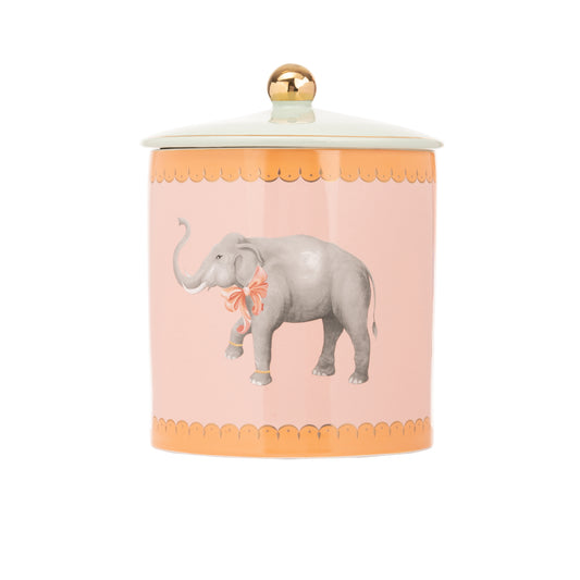 Yvonne Ellen Biscuit Jar - Elephant