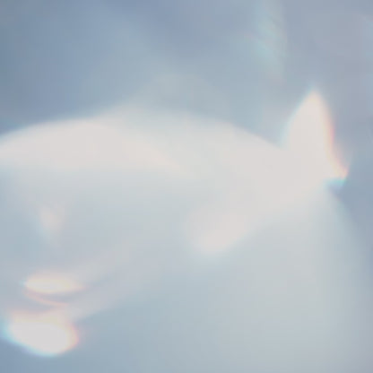 Waterford Crystal Elegance Merlot Wine Glasses, Set of 2