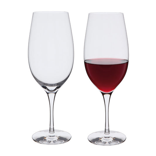 Dartington Crystal Wine Master Shiraz Red Wine Glasses